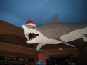 Toledo Zoo Lights 2008 094
